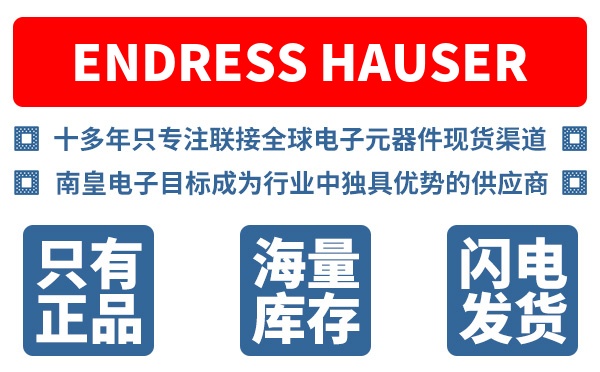 Endress+Hauser��˾ (����˹��˹)